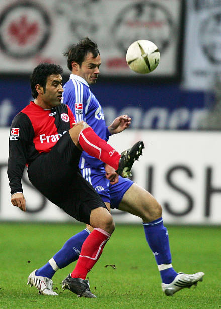 文章中涉及 文章中涉及